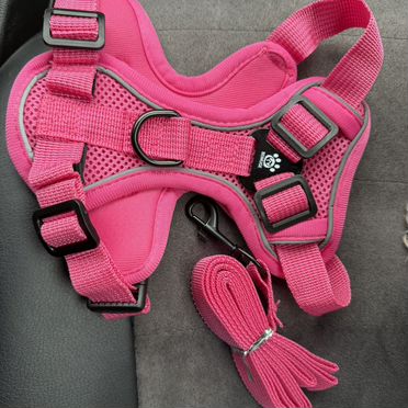 Шлейка для собак