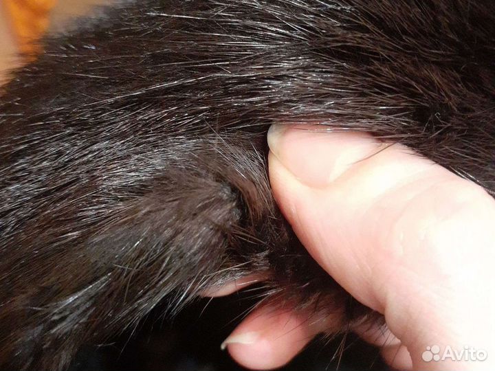 Шапка норковая женская