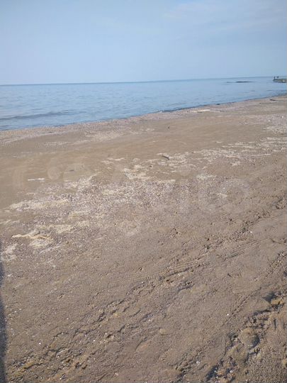 Дача 50 м² на участке 5 сот.