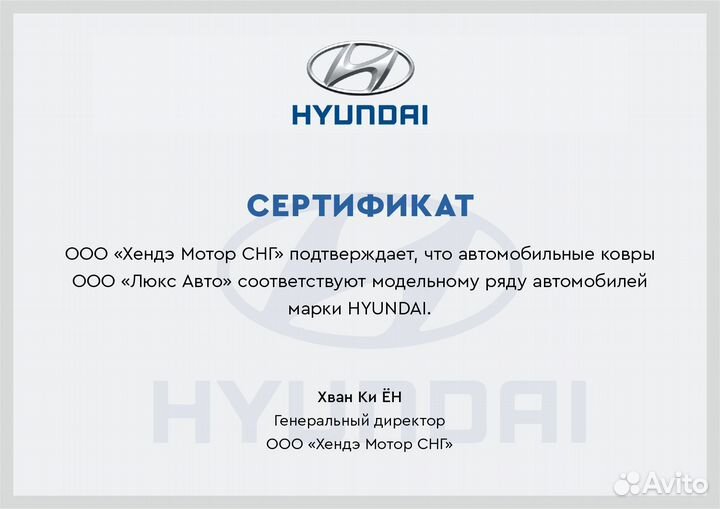 3D Коврики Hyundai Салон Багажник Экокожа