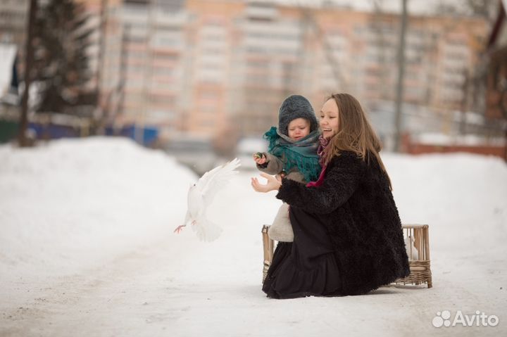 Голуби на свадьбу