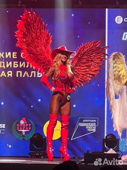 Красные крылья 