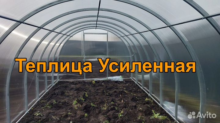 Теплица 3 на 6 усиленная
