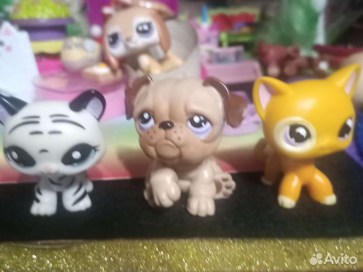 Littlest Pet Shop
