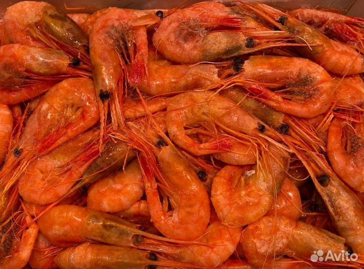 Креветка северная. Свежезамороженные. Опт