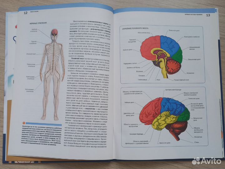 Семейная энциклопедия здоровья