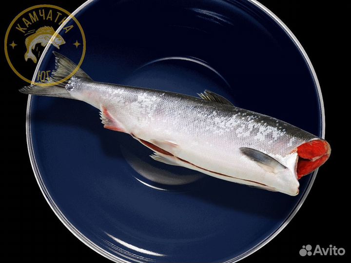 Нерка пбг оптом