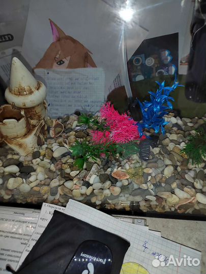 Аквариум 30л