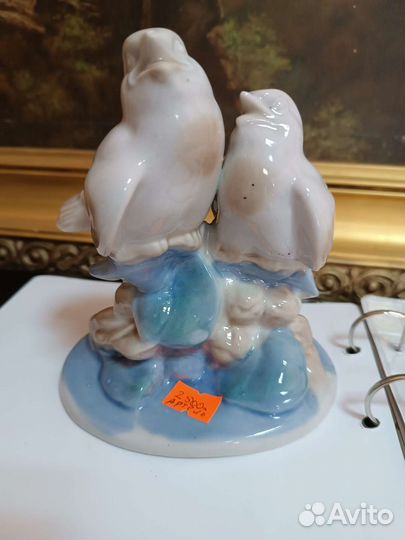 Птицы, артель, редкая