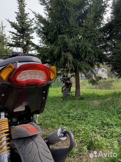 Stels Benelli 50