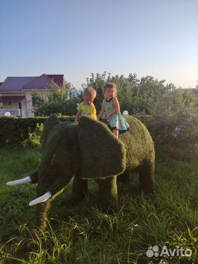 Топиари фигура Слон