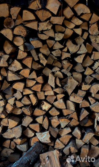 Дрова ясеневые от 5м3