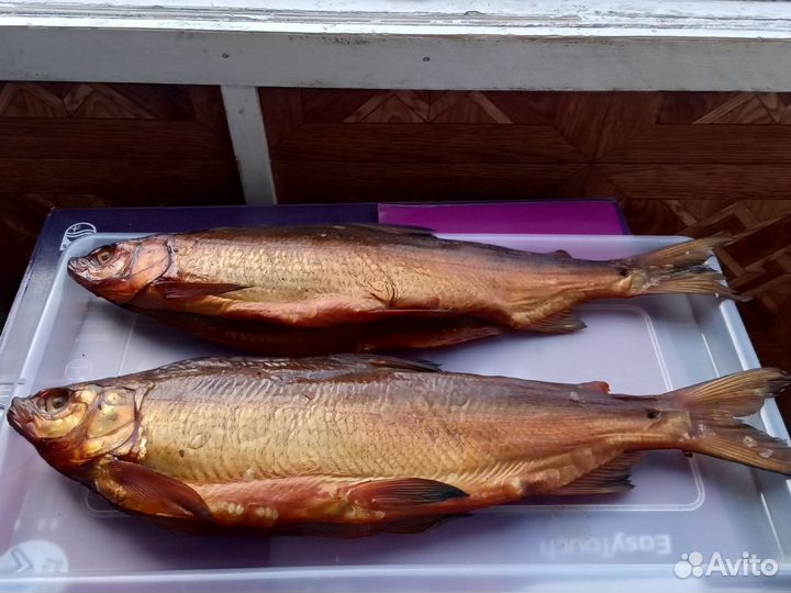 Форель.Сиг.Копчённая Рыба Сиг и Форель