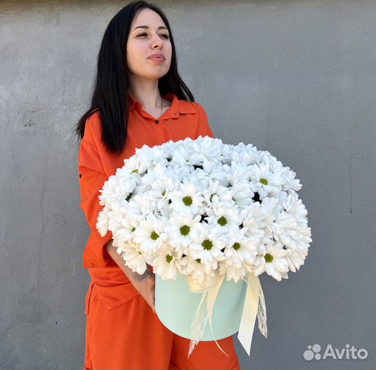 Хризантема