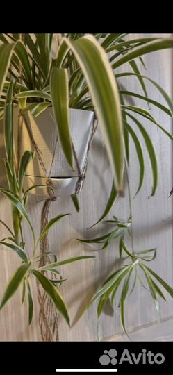 Плетеное кашпо