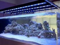 Освещение аквариума и террариума