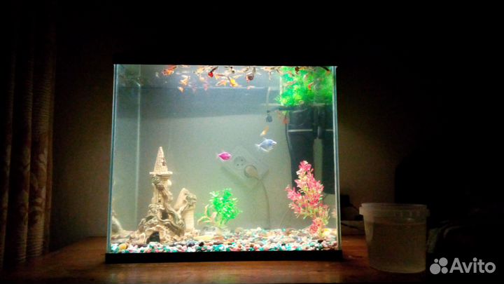 Аквариум