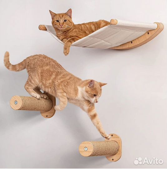 Настенные комплексы для кошек