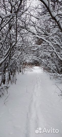 Новогодние Каникулы в Плёсе