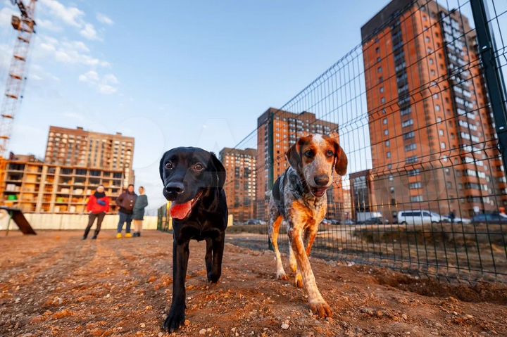 Квартира-студия, 22,5 м², 1/18 эт.