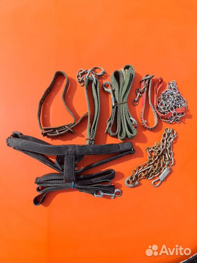 Ошейник для собак