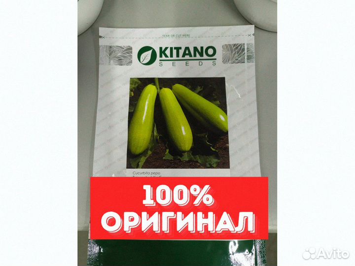 Семена кабачка Язума