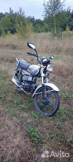 Orion 110cc