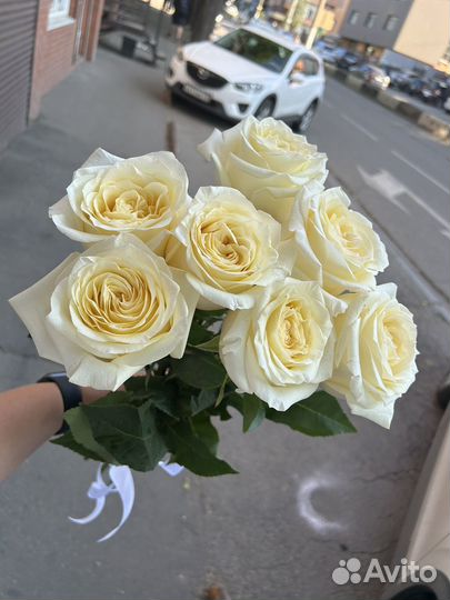 Пионовидные розы Эквадор
