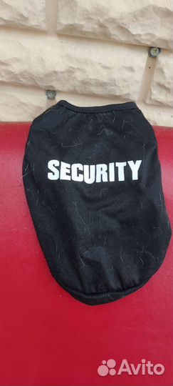 Одежда для собак