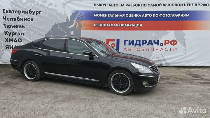 Уплотнитель стекла задний левый Hyundai Equus (VI) 82231-3N000