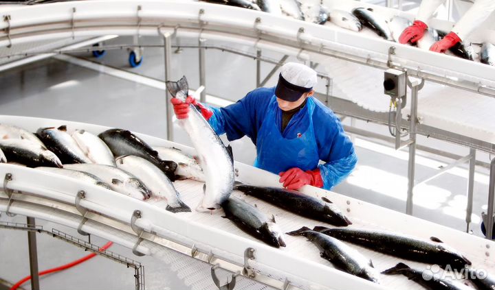 Рыбное производство