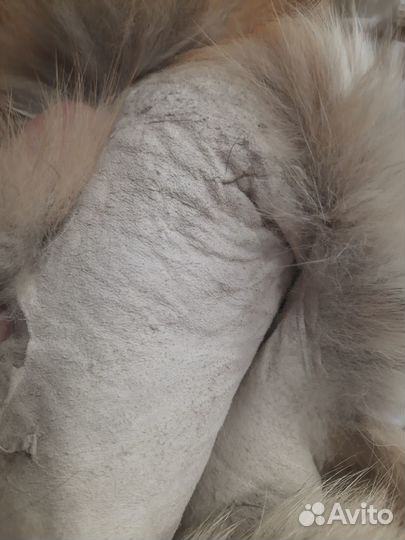 Мех Лисы