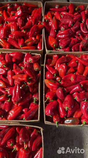 Перец 2 сорт