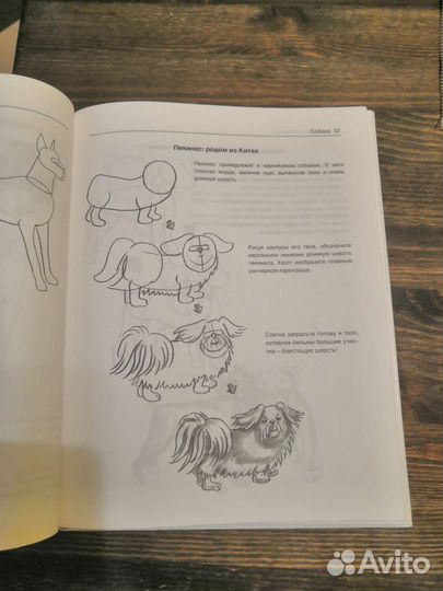 Книга для начинающих художников