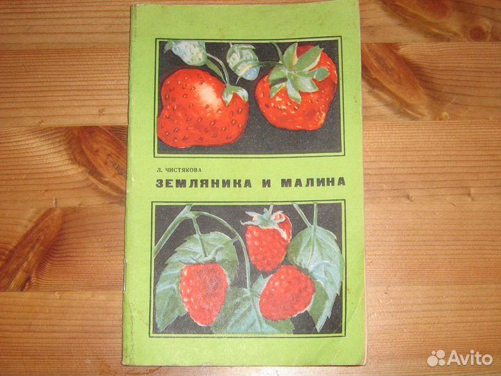 Земляника и малина СССР 1970 Л.Чистякова
