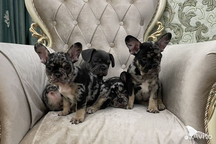 Мраморное чудо