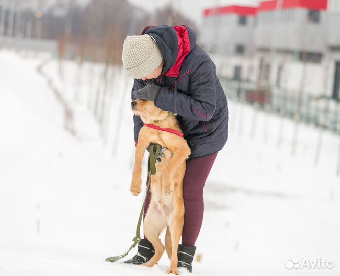 Чак из Кожуховского приюта