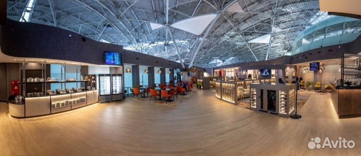 Проход в бизнес залы Внуково