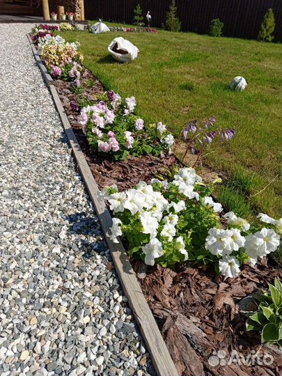 Кора (мульча) сосны, лиственницы