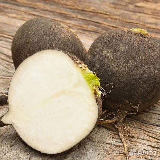Черная редька