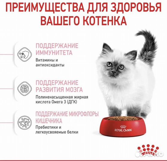 Сухой корм для котят с 4 месяцев Royal Canin