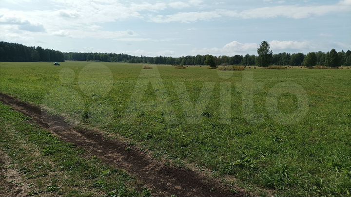 Участок 5 га (СНТ, ДНП)