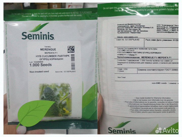 Семена Огурец Меренга гибрид 1000с Семинис