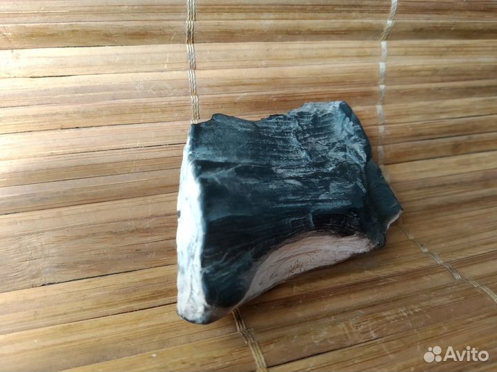 Окаменелое дерево минерал окаменелость