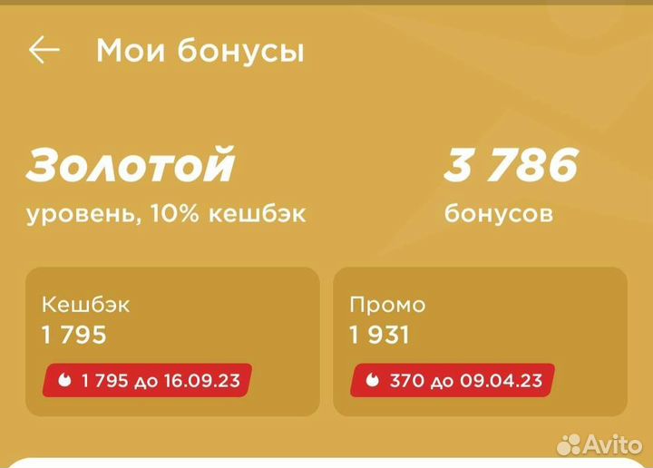 Бонусы спортмастер