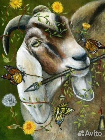 Нубийский козёл на случку, вязку