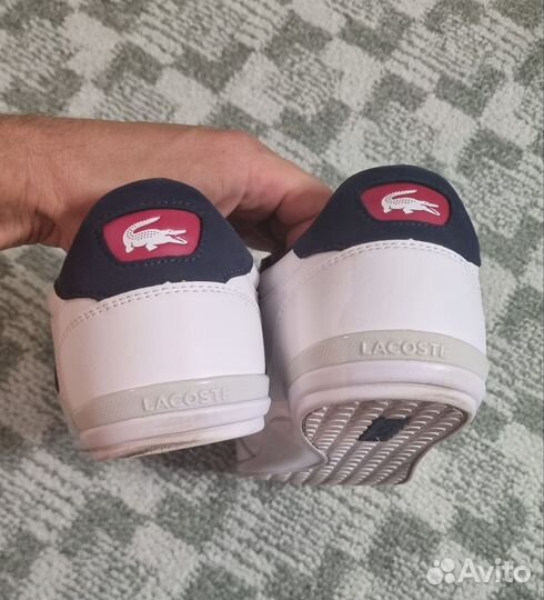 Мужские кеды Lacoste Chaymon