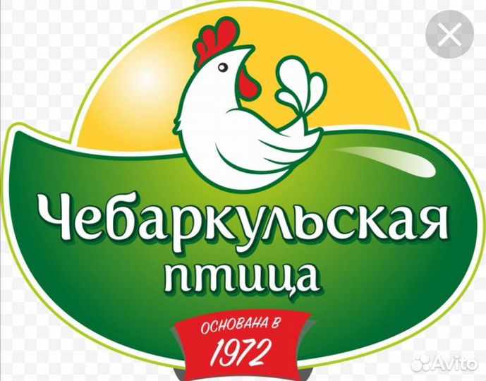 Продавец кассир продукты