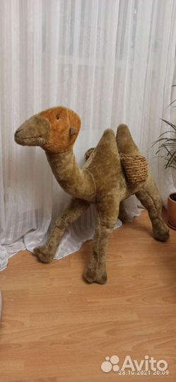 Верблюд для дома, кафе - кальянов