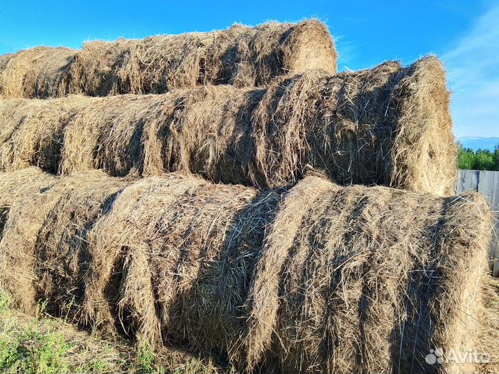 Сено в тюках